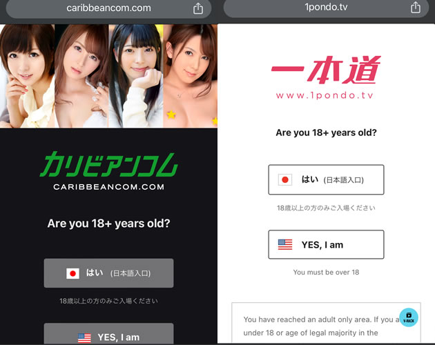 STEP1：有料アダルト動画サイトのTOPページへアクセス